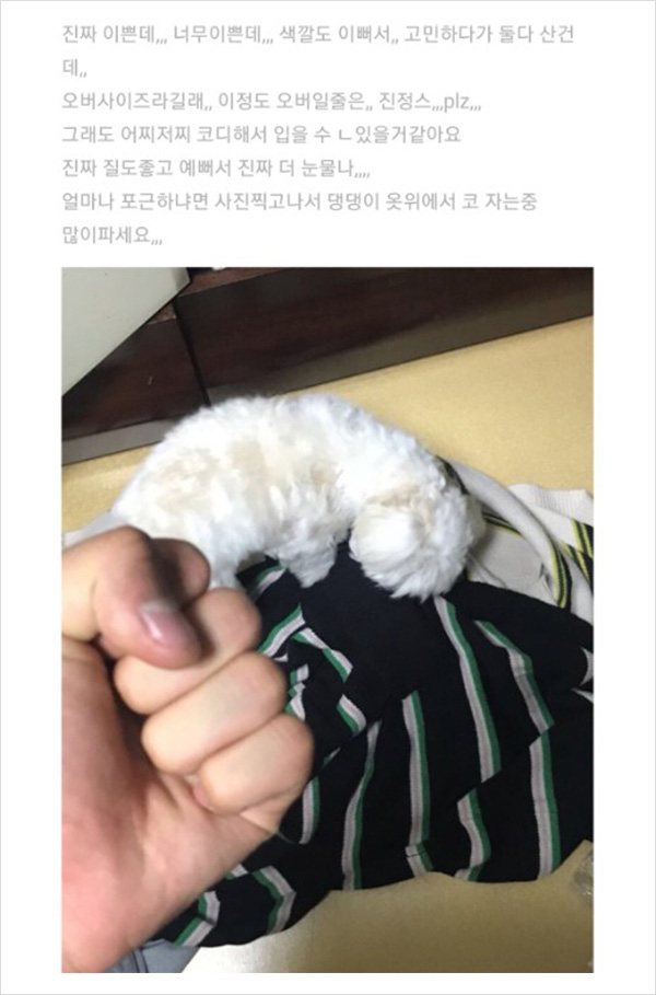 연말 결산! 무신사 후기 모음집 연말 결산! 무신사 후기 모음집