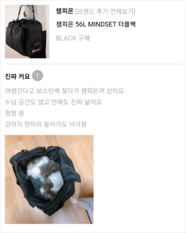 연말 결산! 무신사 후기 모음집 연말 결산! 무신사 후기 모음집