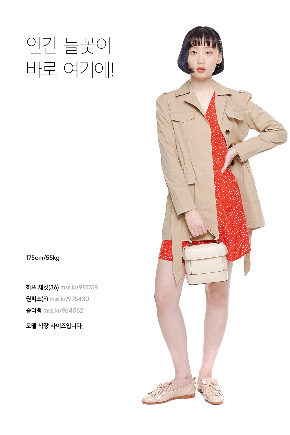 결혼식장에 뭐 입고 가지? 결혼식장에 뭐 입고 가지?