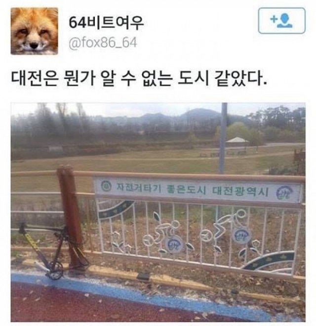 뭔가 알 수 없는 도시 대전