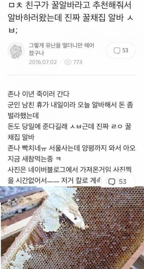 꿀알바 | 유머/동영상 - 무신사