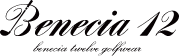 베네시아12