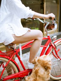 자전거 타는 즐거움과 비교할 수 있는 것은 아무것도 없다.