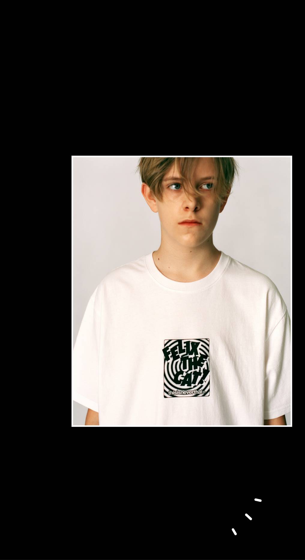 디스이즈네버댓과 펠릭스 더 캣